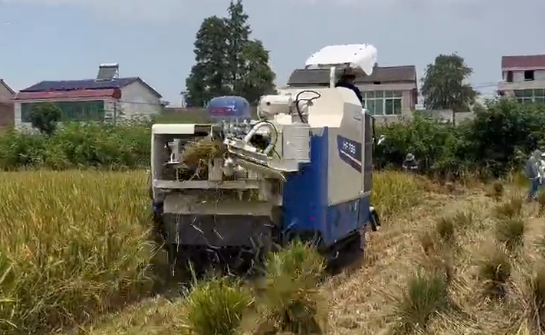 炎炎夏日，東風(fēng)井關(guān)半喂入收割打捆一體機(jī)不懼高溫，表現(xiàn)出色！